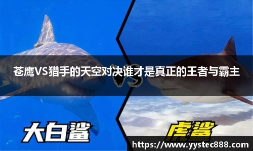 优游平台